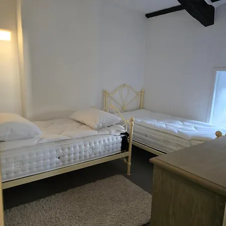 Swallow * 米德尔赫姆