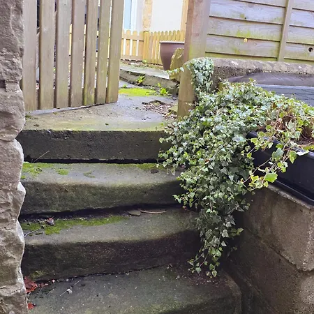 Swallow * 米德尔赫姆