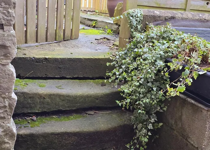 Swallow * 米德尔赫姆